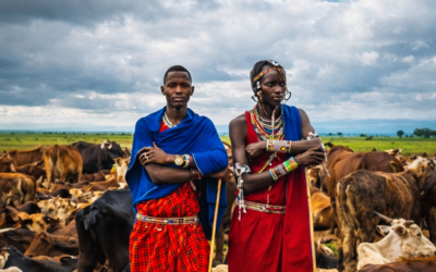 Kenia debate reducir el ganado, una falsa solución climática  y amenaza cultural para los masáis.