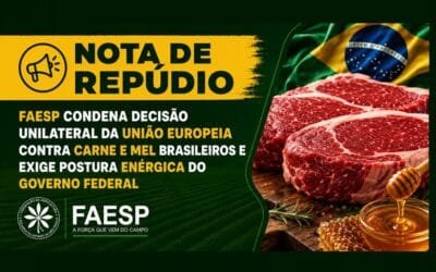 En Brasil condenan veto de la UE a la carne y la miel.