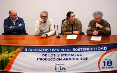 El reto del sector arrocero: traducir la sostenibilidad que lo diferencia en más competitividad y oportunidades para toda la cadena.