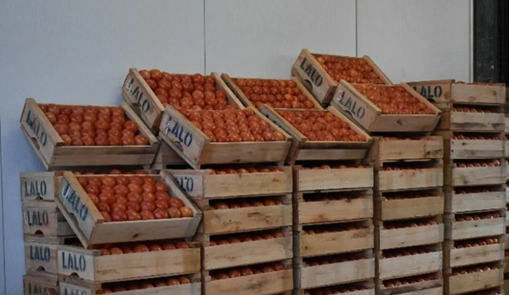 El litoral norte, polo estratégico hortícola para el mercado interno.