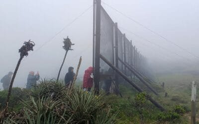 Atrapar la niebla para generar agua.