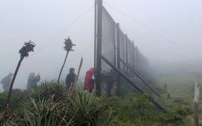 Atrapar la niebla para generar agua.