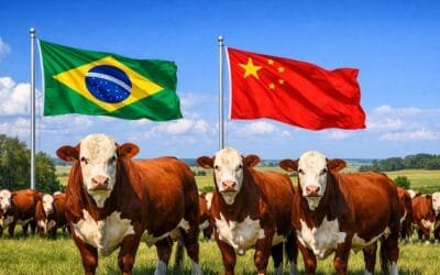 China reconoce a Brasil como territorio libre de fiebre aftosa