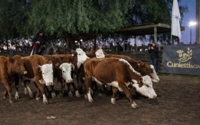 Ágil la pista, buenos los precios en Cuchilla de Silvera.