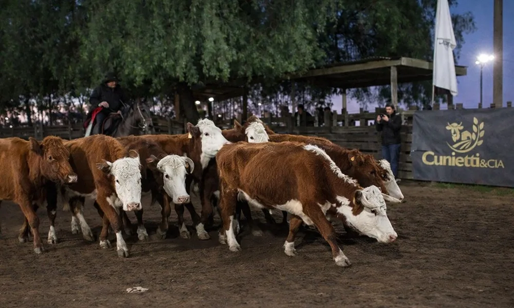 Ágil la pista, buenos los precios en Cuchilla de Silvera.