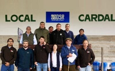 Di Santi dio fin a la zafra de otoño con un gran remate de ganado y maquinaria.