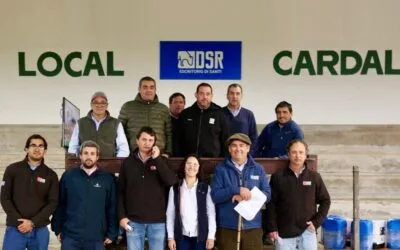 Di Santi dio fin a la zafra de otoño con un gran remate de ganado y maquinaria.