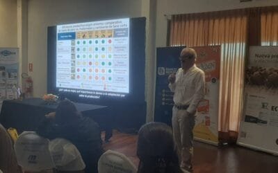 ¿Qué aporte pueden hacer las razas de pelo a la producción ovina nacional?