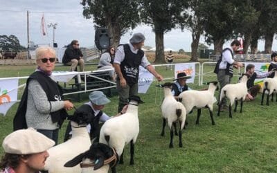 El 4 de julio será la Gira Técnica y Productiva de la Raza Suffolk.
