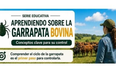 Servicios Ganaderos lanza serie educativa sobre control de la garrapata en vacunos.
