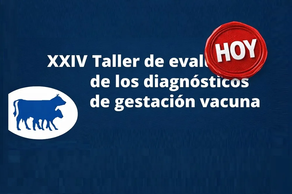 Taller de gestación en Durazno; hoy, con información en profundidad más allá del dato.
