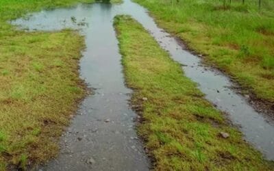 Inumet, Udelar y el IRI coinciden con una primavera que llegará con lluvias por encima del promedio.