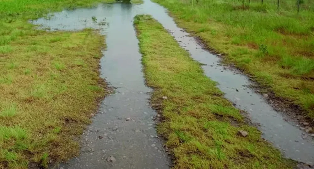 Inumet, Udelar y el IRI coinciden con una primavera que llegará con lluvias por encima del promedio.