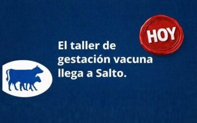 Hoy el taller de gestación llega a Salto, donde también se expondrá sobre el cuidado de los toros y las pérdidas.