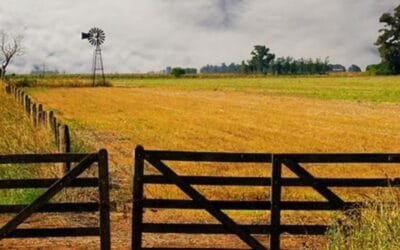 ¿Qué cambia en la valuación de inmuebles rurales para el Impuesto al Patrimonio?