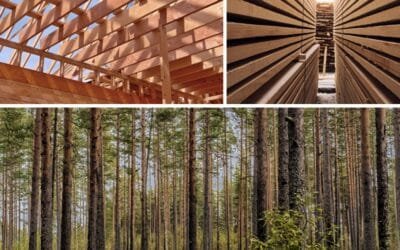 Uruguay consolida su liderazgo forestal con exportaciones récord.