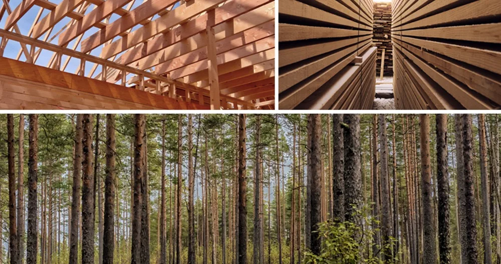 Uruguay consolida su liderazgo forestal con exportaciones récord.