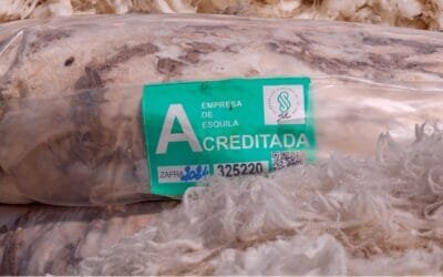 Estamos en el período de la esquila preparto.