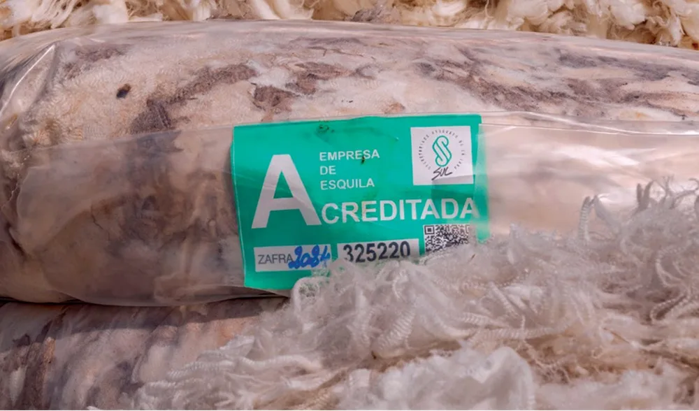 Estamos en el período de la esquila preparto.