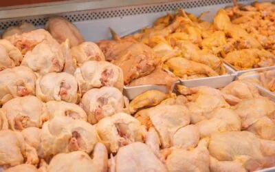 El mercado avícola brasileño mantiene precios estables mientras aumentan las exportaciones.