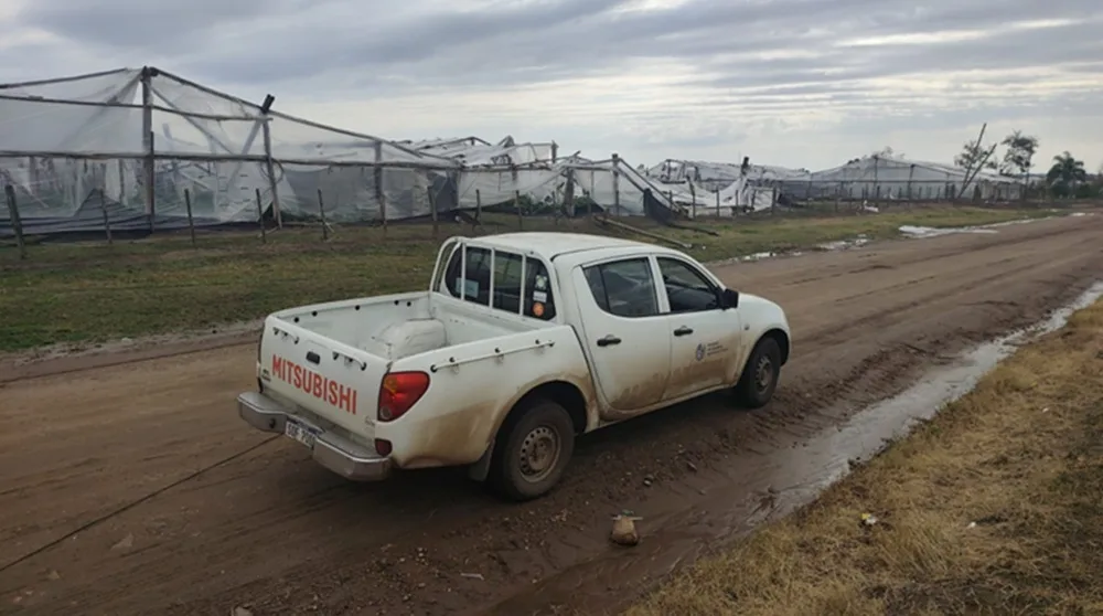 Evalúan declarar Emergencia Granjera tras temporal en Salto.