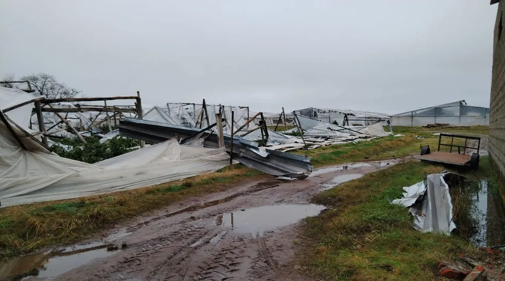 MGAP declaró emergencia granjera en Salto; prepara apoyo para productores afectados.