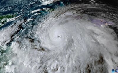 El Niño golpea la agricultura mundial: sequías, calor extremo e inundaciones.