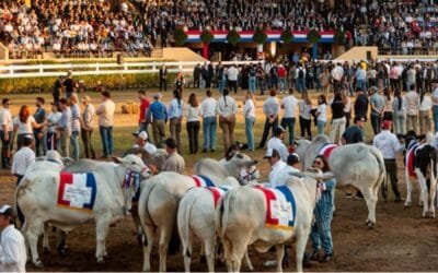 Comenzó Expo Paraguay 2026.