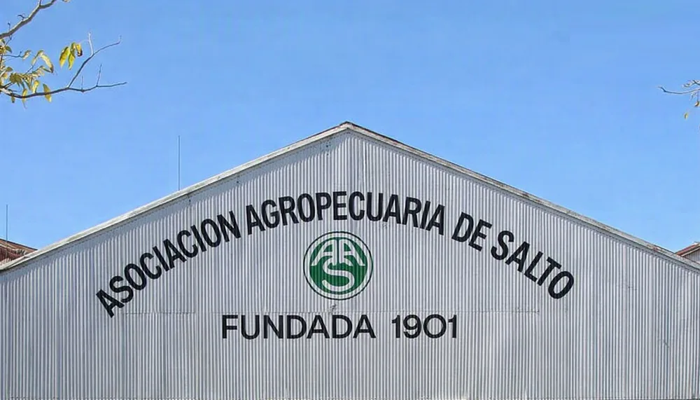 El jueves la Agropecuaria de Jóvenes de Salto realizará una nueva jornada jóven.