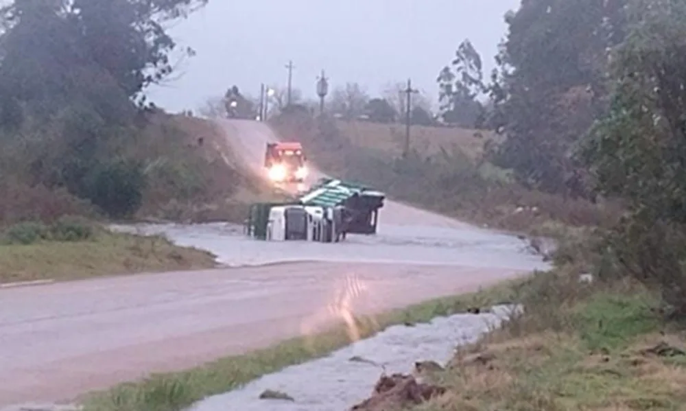 Camión que transportaba ganado volcó al cruzar un tramo inundado en Feliciano