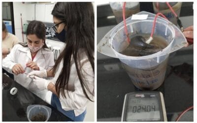 Fondos Ida Holz para proyectos de investigadores del Instituto Clemente Estable.