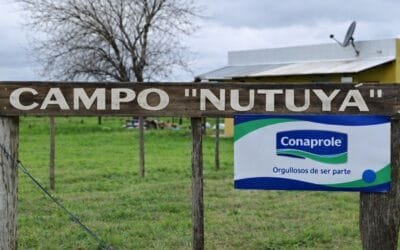 En setiembre será la jornada de campo de primavera de Conaprole.