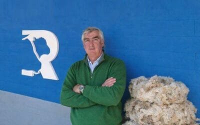 Uruguay aprendió a leer y entender el mercado de lanas.