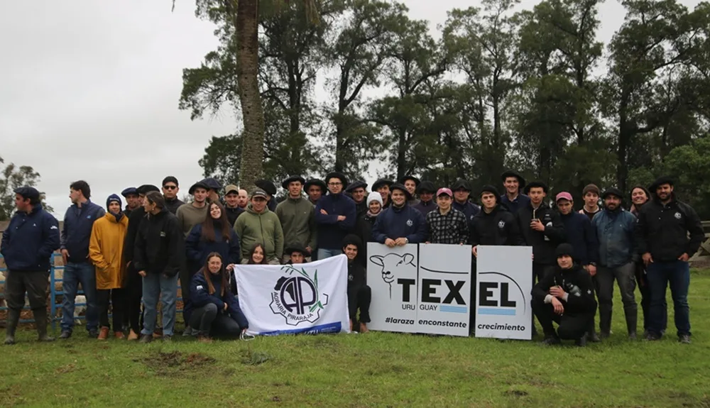 Cabañas Texel donaron ovejas a la escuela agraria de Pirarajá.