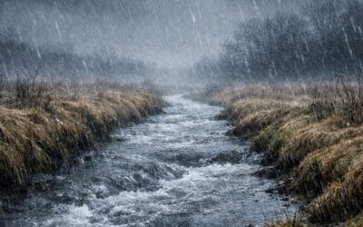 Advertencia sobre El Niño en Uruguay: “En 30 días se puede producir el 50% de las precipitaciones de un año”.