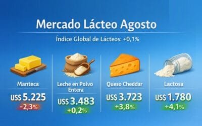 Mercado lácteo con leve repunte en la última licitación de GDT.