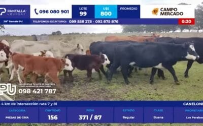 Con valores al alza Pantalla Uruguay colocó el 98% de la oferta.