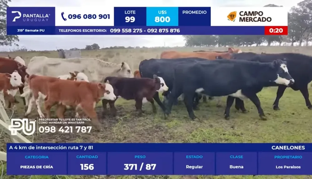 Con valores al alza Pantalla Uruguay colocó el 98% de la oferta.
