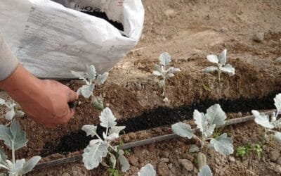 El negocio de devolverle vida a la tierra.