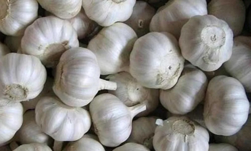 Ingreso de ajos chinos al mercado local.