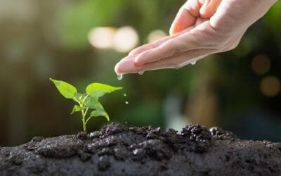 Agricultura: producir hoy, cuidar el mañana y asegurar el relevo.