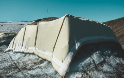 Estudiantes suizos descubren que la lana puede proteger el hielo tanto como las lonas sintéticas.