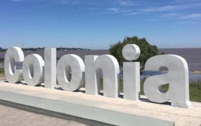 Se confirmó influenza aviar en aves de traspatio en Colonia.