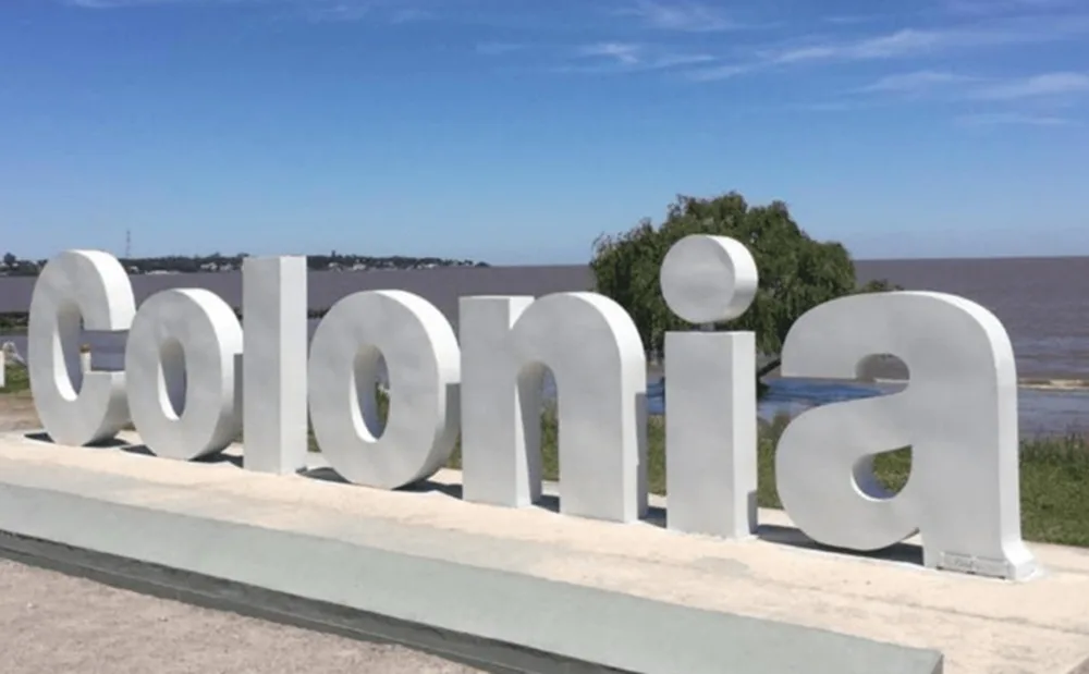 Se confirmó influenza aviar en aves de traspatio en Colonia.