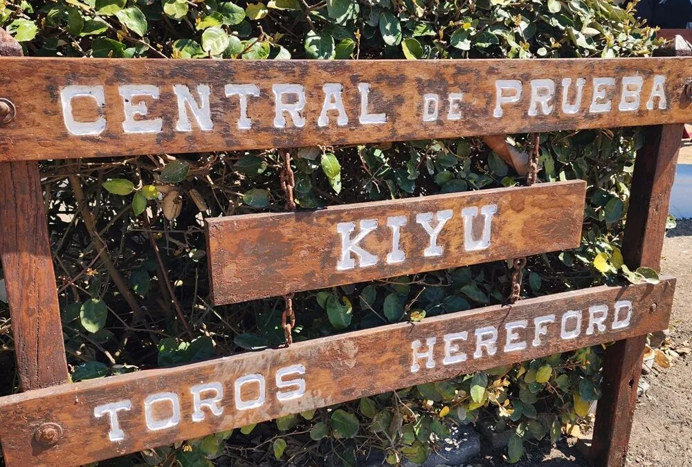 Presidenta de Hereford resaltó el espíritu festivo en Kiyú.