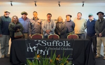 En el Prado, los criadores Suffolk tuvieron sus elecciones 2026.