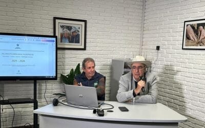 SNIG: El número de vacunos creció 3,5% y el de ovinos cayó 3,9%.