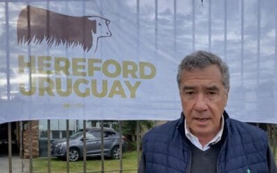 Plaza Rural con Plaza Hereford terminaron un remate con alta colocación.