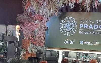 Mercado lácteo global: volatilidad, concentración y nuevos motores de crecimiento.