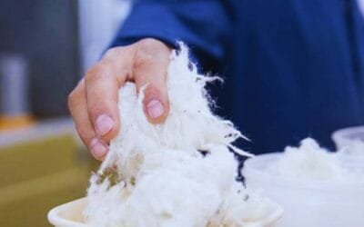 Argentina. Presentan una plataforma para monitorear la calidad de la producción lanera.